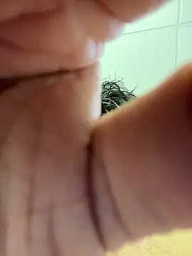 Snapshot of the_indian_dick_u_want chatting on February 2026 04:10:02 AM the indian dick u want online show from February 2026 04:10:02 AM