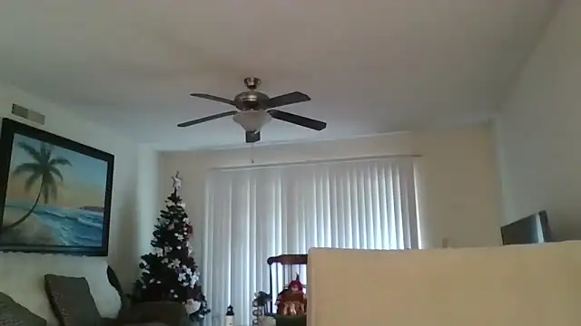 Snapshot of EvaRobinson chatting on December 2024 05:31:02 PM EvaRobinson online show from December 2024 05:31:02 PM