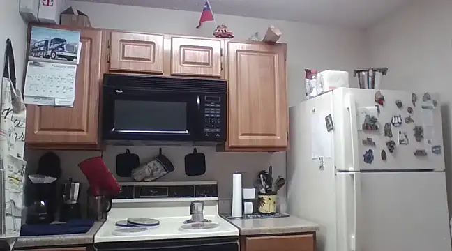 Snapshot of EvaRobinson chatting on February 2025 03:05:02 PM EvaRobinson online show from February 2025 03:05:02 PM