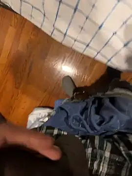 dingoding online show from December 2024 09:51:01 PM