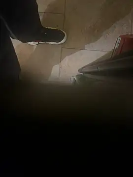 dingoding online show from January 2025 04:44:02 AM