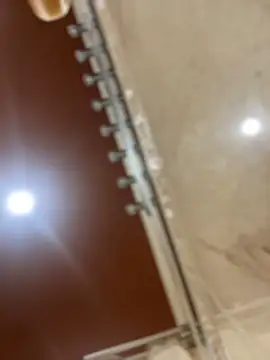 dingoding online show from March 2025 06:51:01 PM