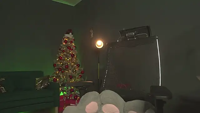 Snapshot of mirawair chatting on November 2025 02:50:02 PM mirawair online show from November 2025 02:50:02 PM