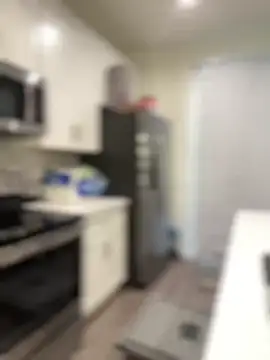 AriannaPena online show from February 2025 12:19:02 AM