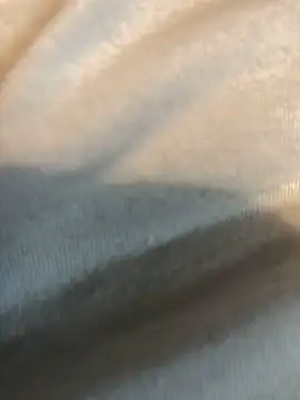 Snapshot of Hugetings chatting on January 2025 08:54:01 PM Hugetings online show from January 2025 08:54:01 PM