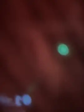  Danna online show from February 2026 11:07:01 AM