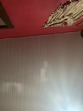 pimenta gaby online show from March 2026 02:43:01 PM