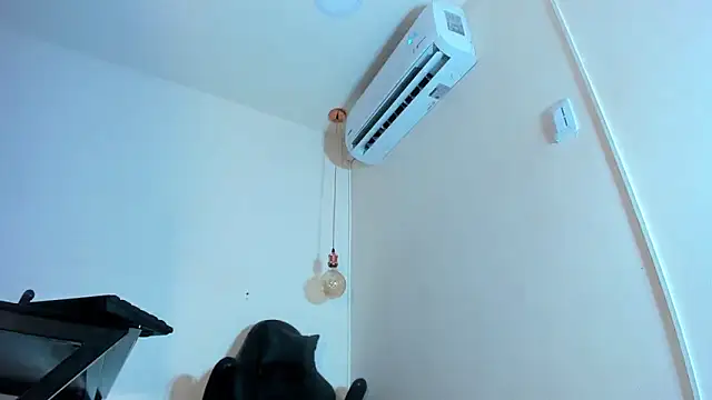 xGenesis Miller  online show from January 2025 11:55:02 PM