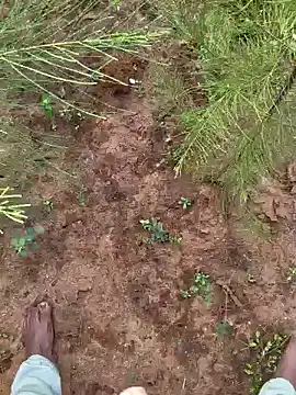 Gopal1243 online show from December 2024 03:29:01 AM