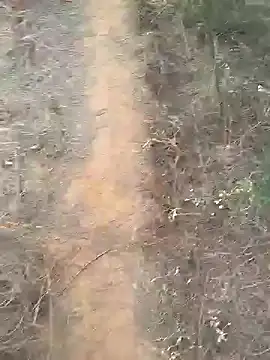 Gopal1243 online show from February 2025 02:08:01 AM