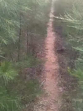 Gopal1243 online show from February 2025 01:47:02 AM