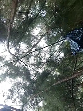 Gopal1243 online show from September 2025 06:19:02 AM