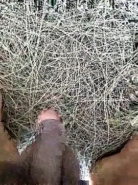 Snapshot of Gopal1243 chatting on February 2026 08:10:02 AM Gopal1243 online show from February 2026 08:10:02 AM