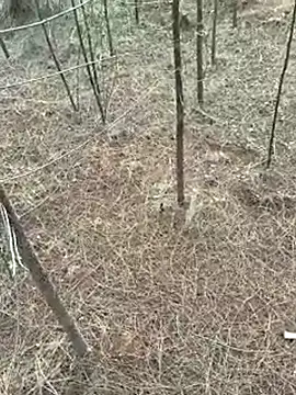 Snapshot of Gopal1243 chatting on April 2026 01:16:02 AM Gopal1243 online show from April 2026 01:16:02 AM