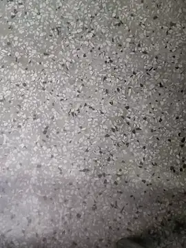 Rajibsorkar20 online show from January 2025 09:19:02 PM