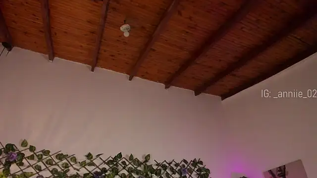 annie barozzi online show from January 2025 01:35:01 PM