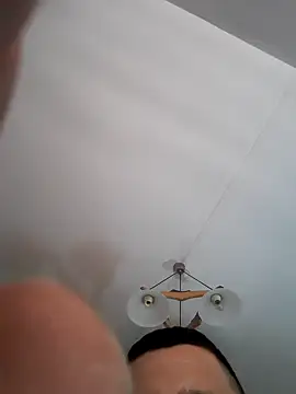 Pitbul889 online show from November 2025 06:43:02 PM