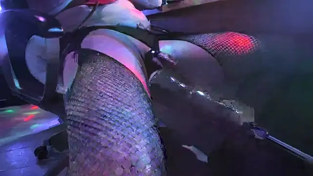 slankecrosdresser online show from November 2025 12:57:02 AM