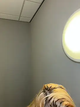 Strongqueen online show from February 2026 06:15:01 PM