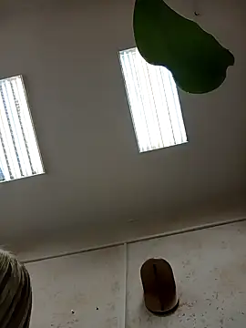 Snapshot of Office_Albertina chatting on January 2026 10:13:02 PM Office Albertina online show from January 2026 10:13:02 PM