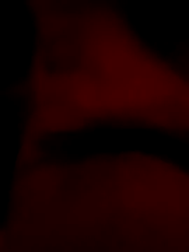 roccosif696 online show from January 2025 06:46:01 PM