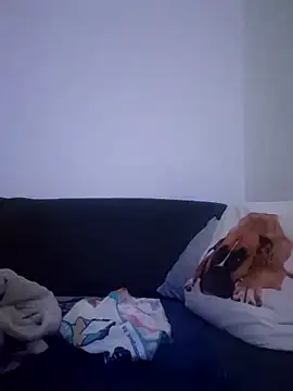 cuci45 online show from December 2025 01:13:01 AM