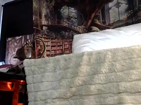 Snapshot of OSIRlS chatting on January 2025 07:31:01 PM OSIRlS online show from January 2025 07:31:01 PM