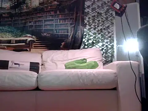 Snapshot of OSIRlS chatting on February 2025 01:17:02 PM OSIRlS online show from February 2025 01:17:02 PM