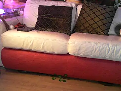 Snapshot of OSIRlS chatting on March 2025 12:43:01 PM OSIRlS online show from March 2025 12:43:01 PM