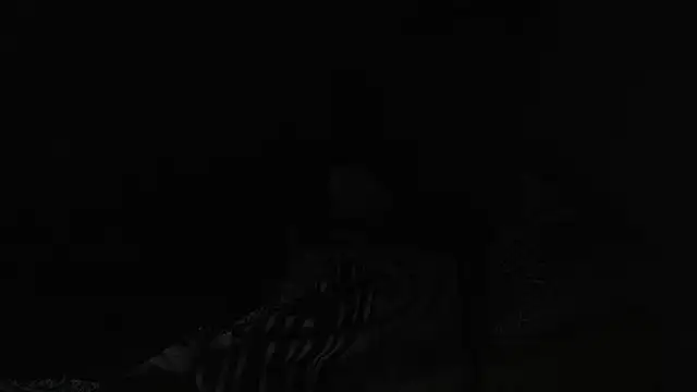 BELINDAXXXXX online show from December 2024 08:04:01 PM