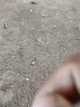 Snapshot of dheck2020 chatting on January 2025 06:45:02 PM dheck2020 online show from January 2025 06:45:02 PM