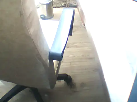 lordgam online show from June 2026 02:26:02 PM