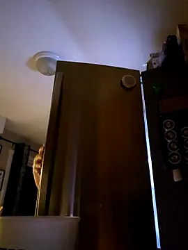 SexyNikki6969 online show from April 2026 10:16:02 AM