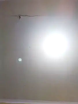 DangerousSafari online show from November 2025 02:29:02 PM