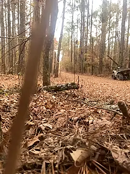 Themechanic420 online show from December 2024 07:14:02 PM