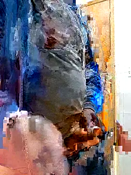 Jeffikuis online show from September 2025 03:31:01 AM