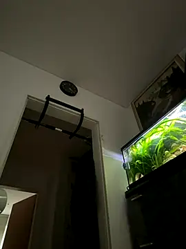 Toyjungee online show from September 2025 06:59:02 AM