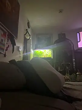 Toyjungee online show from January 2026 08:08:02 AM