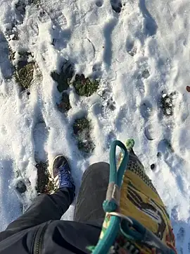 Mrbighardcock online show from January 2026 10:21:02 AM