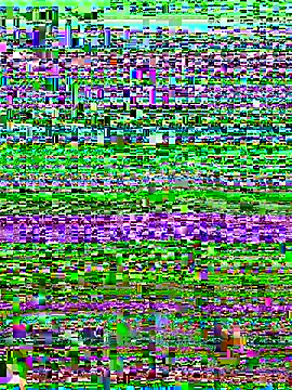 Snapshot of versetopcouple chatting on October 2025 04:09:02 PM versetopcouple online show from October 2025 04:09:02 PM