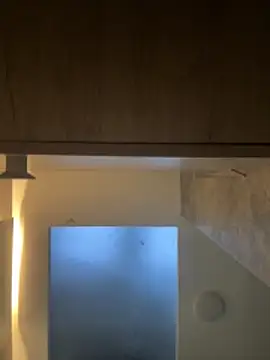 CeliWoods online show from November 2025 10:52:02 AM