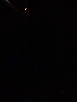 Likewise online show from January 2025 11:55:01 AM