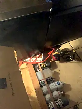 Likewise online show from November 2025 08:37:02 AM