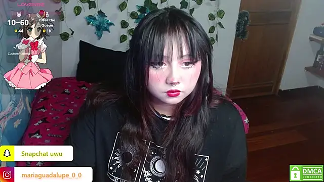 litlle cat online show from January 2025 05:30:01 AM