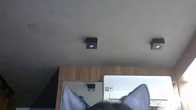 Skinny-Kitten online show from October 2025 09:21:02 AM