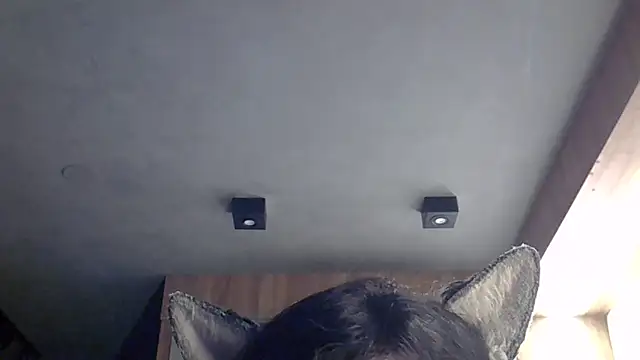 Skinny-Kitten online show from February 2026 11:53:02 PM