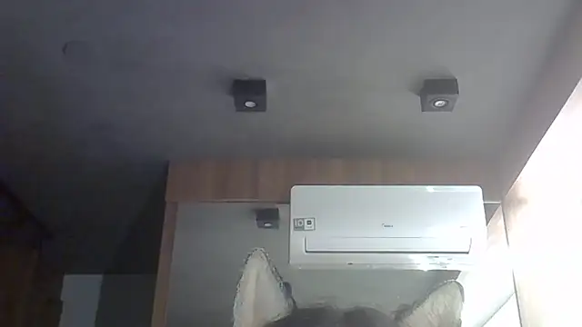 Skinny-Kitten online show from February 2026 07:51:01 AM