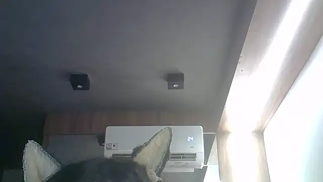 Skinny-Kitten online show from April 2026 08:04:01 AM