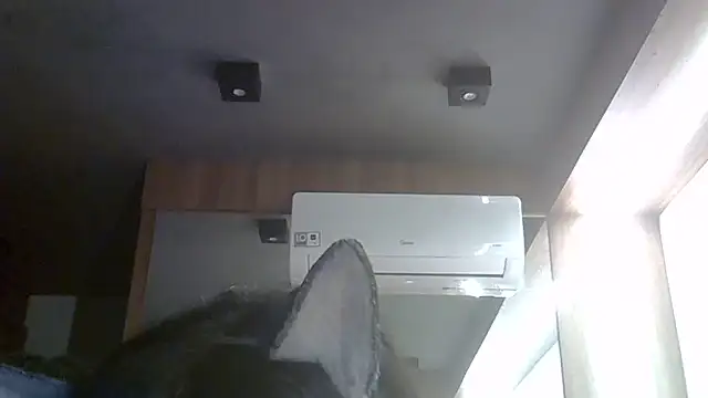 Skinny-Kitten online show from May 2026 06:38:01 PM