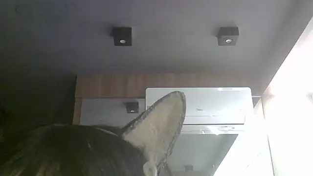Skinny-Kitten online show from July 2026 11:35:01 AM